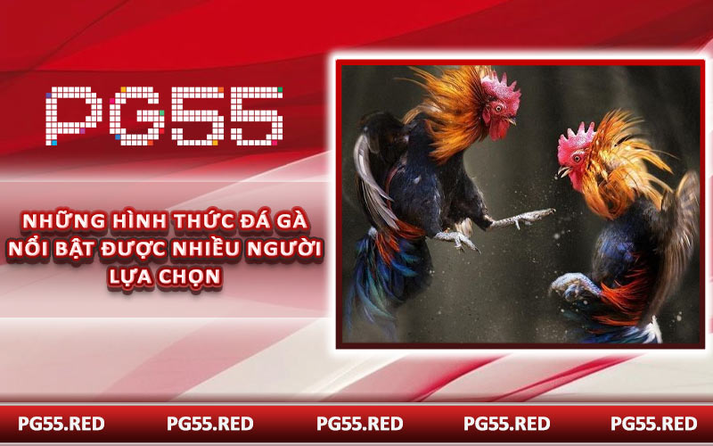 Những hình thức đá gà nổi bật được nhiều người lựa chọn